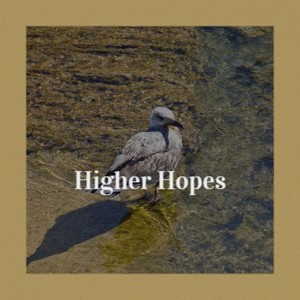 Higher Hopes