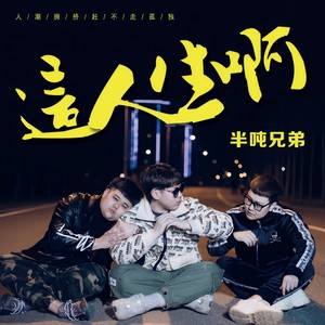 这人生啊 (DJHouse版)封面
