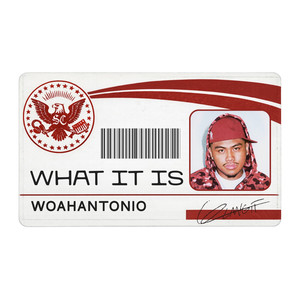 WHAT IT IS (Explicit)
