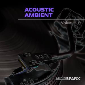 Acoustic Ambient Volume 10