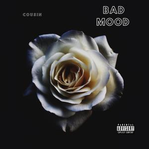 Bad Mood (Explicit)