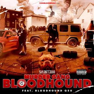 MURDER GANG BLOODHOUND (feat. Bloodhound Q50) (Explicit)