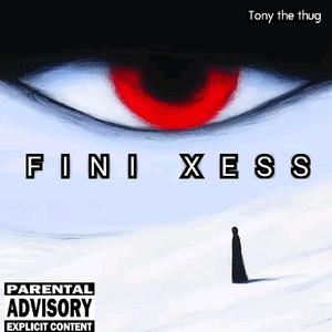 FINI XESS (Explicit)