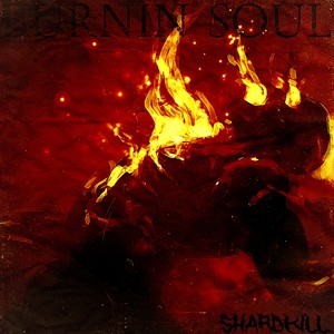 BURNIN SOUL (Explicit)