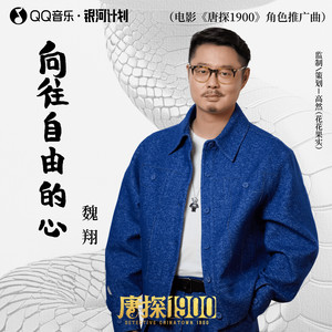 向往自由的心封面