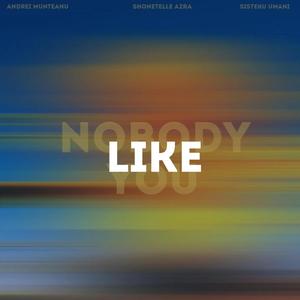 Nobody Like You (feat. Sisteku Umani & Shontelle Azra)