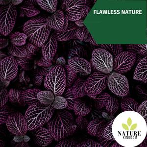 Strong Wreathing Wind