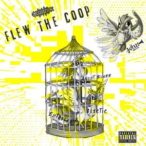 Flew the Coop (feat. Cl3ctic & Entellekt) (Explicit)