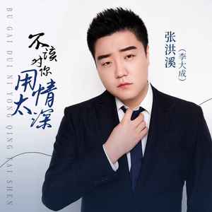 不该对你用情太深 (伴奏)