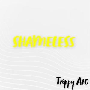 Shameless (Explicit)