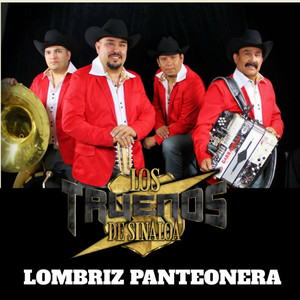 Lombriz Panteonera