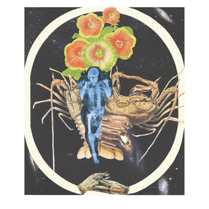 Rättsmedicinläkarens dröm