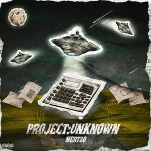 Project: Unknown (Explicit)