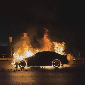 David Goggins Effect