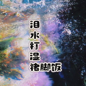 泪水打湿猪脚饭