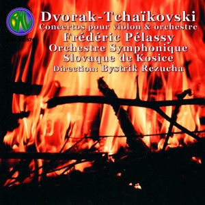 Concerto pour violon et orchestre - I. Allegro moderato