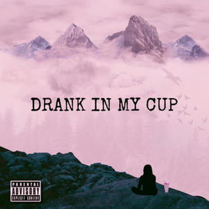 Drank in my Cup (feat. Surf Wreck) [Remix] [Explicit]