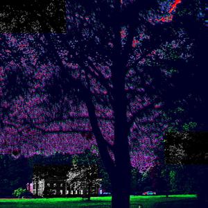 spookykemo - could've been (Explicit)