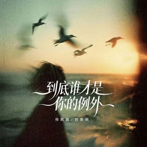 到底谁才是你的例外 (男女对唱版)封面