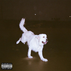 dog (Explicit)