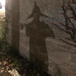 fairly odd (Explicit)