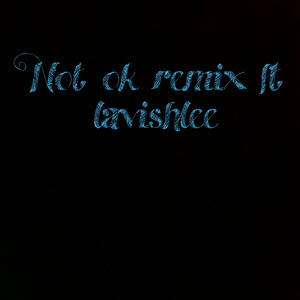 Not ok remix (feat. Lavishlee) (Explicit)
