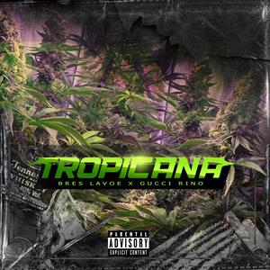 Tropicana (feat. Gucci Rino)