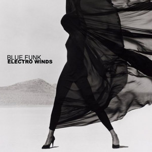 Electro Winds