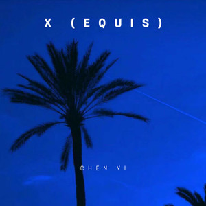 Mak Donal-X (CHENYI remix)