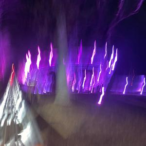 front roww (feat. St3v) (Explicit)