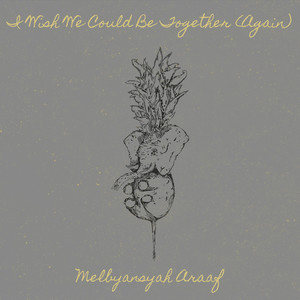 I Wish We Could Be Together (Again)