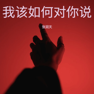 我该如何对你说 (男声版)