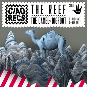 The Camel / Bigfoot