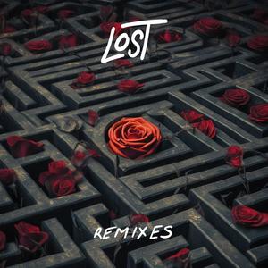 Lost Remixes