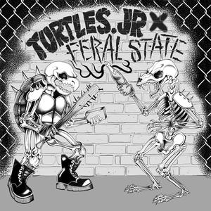 Turtles.Jr Split