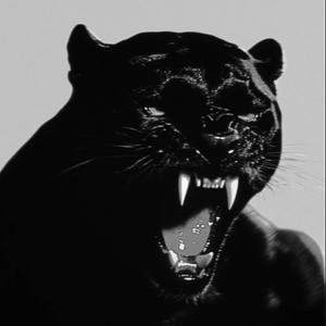 Scar 2 (feat. Dante Swan)