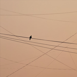 I wont say I love u till the end of time (Demo)