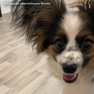 Istu (freestyle) (Explicit)