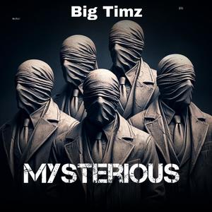 Mysterious (feat. Max Fry & Ryan Harris) (Explicit)
