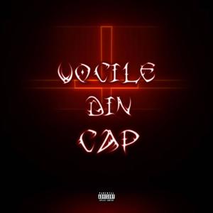 Vocile Din Cap (Explicit)