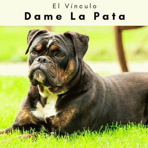 3 2 1 Dame La Pata