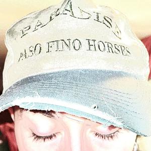 Paradise, Paso Fino Horses