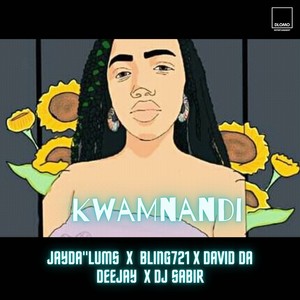 KwaMnandi (Vocal Mix)