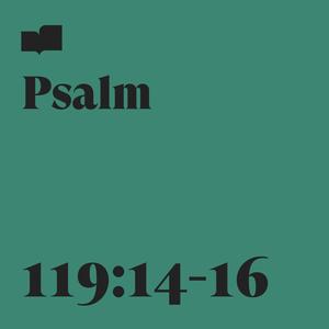 Psalm 119:14-16 (feat. Ryan Walker & Dustin Ragland)