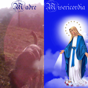 madre misericordia