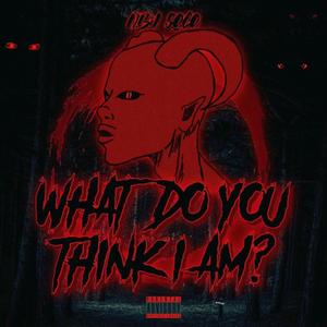 What Do You Think I Am? (Explicit)