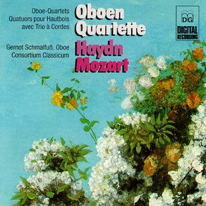 Oboe Quartet in F Major, K. 370: II. Adagio