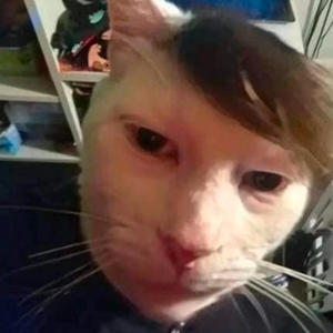 King of chaos (Explicit)