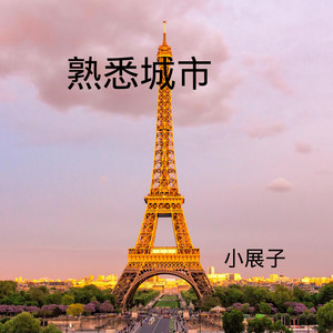 熟悉城市 (DJ版)