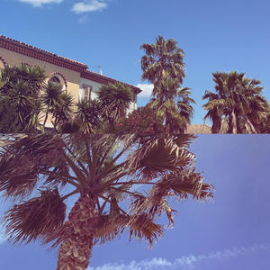 hollup (feat. Yung Sherlok) (Explicit)